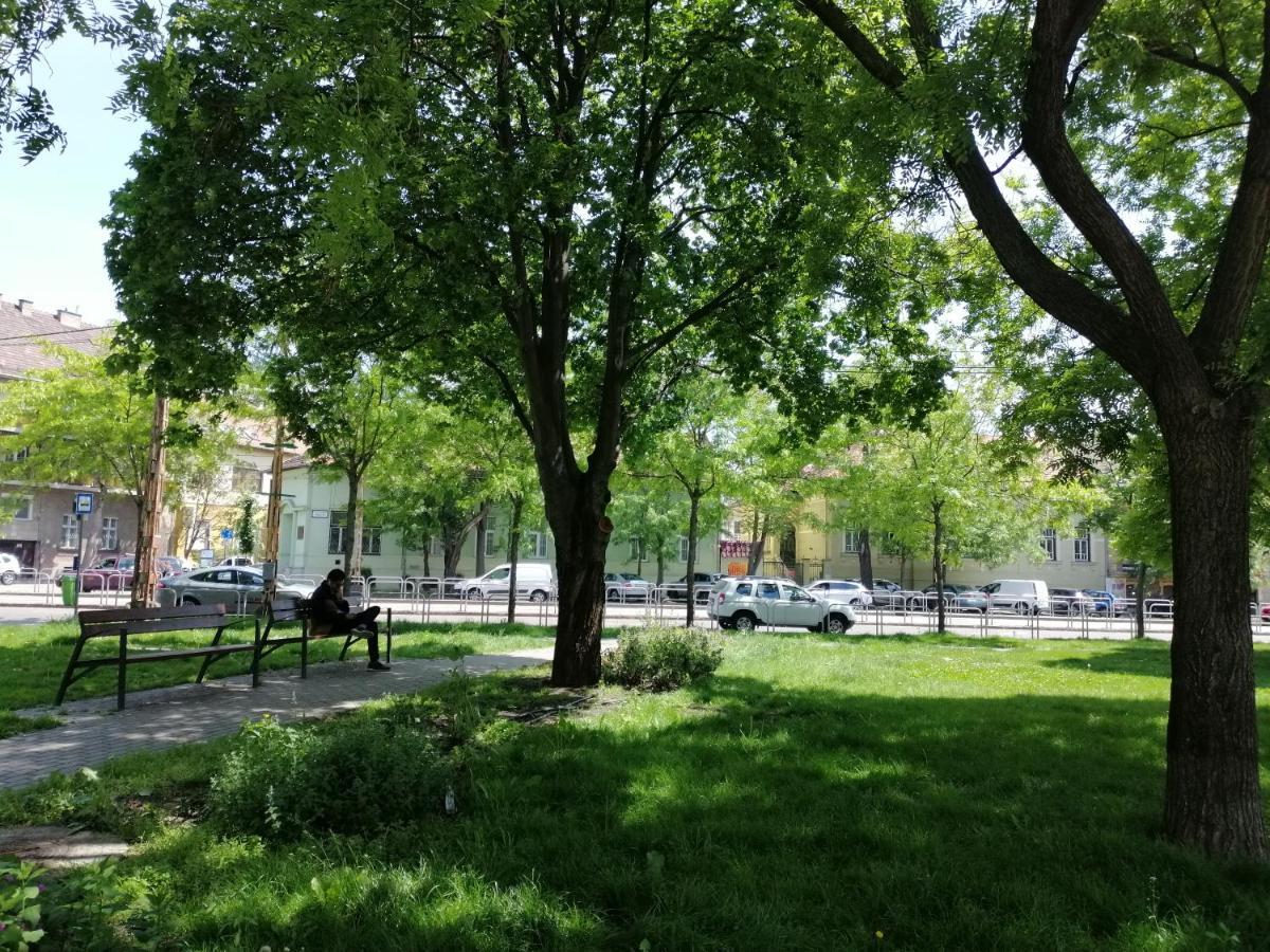 Guest House Orczy Park Budapest Exteriör bild